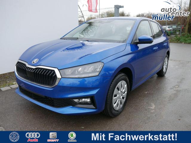 Skoda Fabia - Selection 1.0 TSI DSG*NAVI-ÜBER-SMARTLINK*LED*PDC-HI*SHZ*DAB*KLIMA