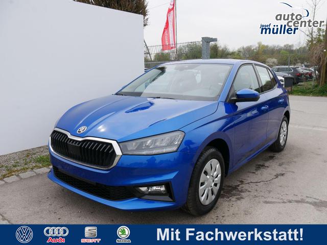 Skoda Fabia - Selection 1.0 TSI DSG*NAVI-&Uuml;BER-SMARTLINK*LED*PDC-HI*SHZ*DAB*KLIMA