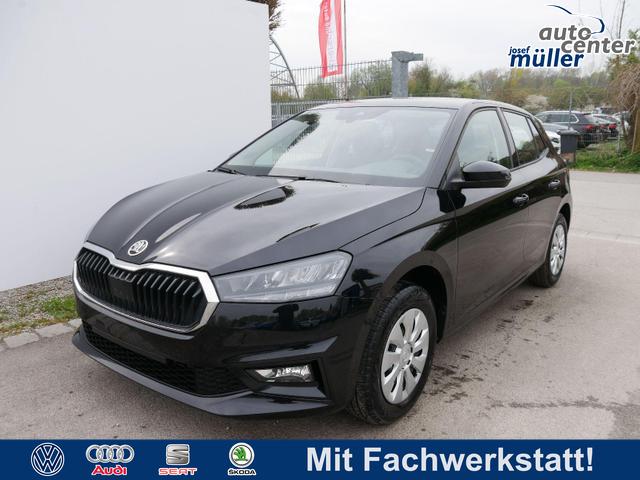 Skoda Fabia - Selection 1.0 TSI DSG*NAVI-&Uuml;BER-SMARTLINK*LED*PDC-HI*SHZ*DAB*KLIMA