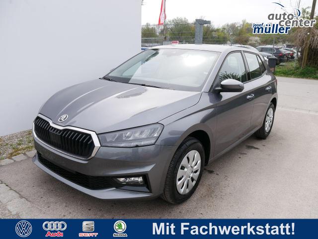 Skoda Fabia - Selection 1.0 TSI DSG*NAVI-&Uuml;BER-SMARTLINK*LED*PDC-HI*SHZ*DAB*KLIMA