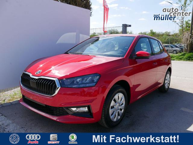 Skoda Fabia - Selection 1.0 TSI DSG*NAVI-&Uuml;BER-SMARTLINK*LED*PDC-HI*SHZ*DAB*KLIMA