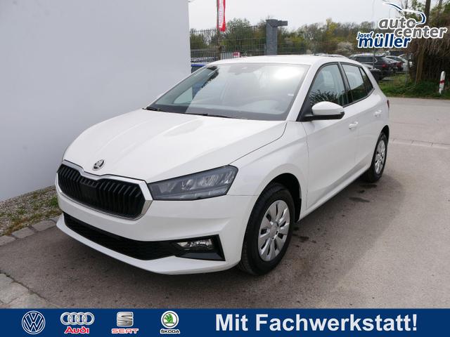 Skoda Fabia - Selection 1.0 TSI *NAVI-&Uuml;BER-SMARTLINK*PDC-HI*LED*SHZ*KLIMA*RADIO