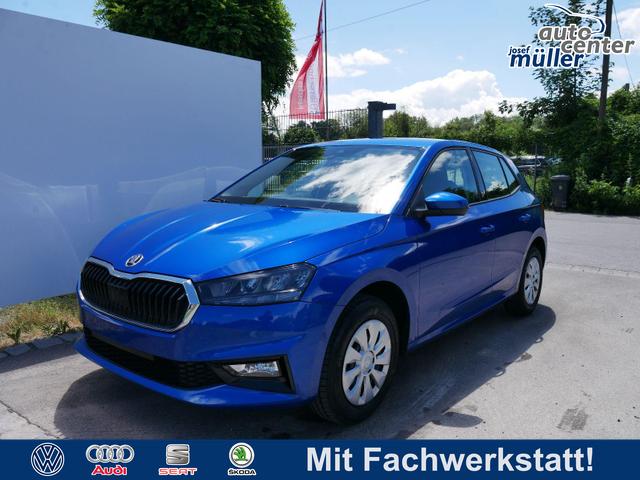 Skoda Fabia - Selection 1.0 TSI *NAVI-&Uuml;BER-SMARTLINK*PDC-HI*LED*SHZ*KLIMA*RADIO