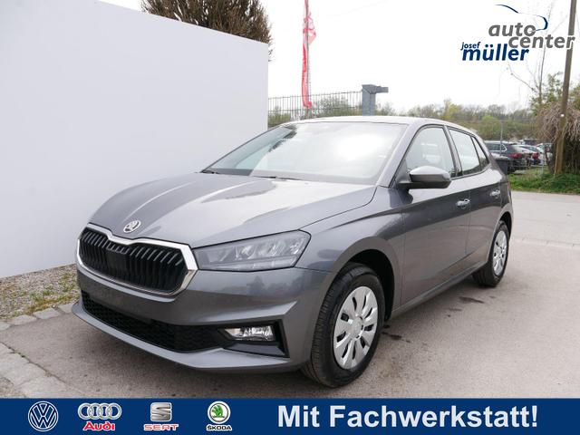 Skoda Fabia - Selection 1.0 TSI DSG*NAVI-&Uuml;BER-SMARTLINK*LED*PDC-HI*SHZ*DAB*KLIMA