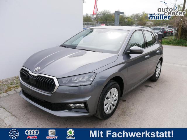Skoda Fabia - Selection 1.0 TSI DSG*NAVI-&Uuml;BER-SMARTLINK*LED*PDC-HI*SHZ*DAB*KLIMA