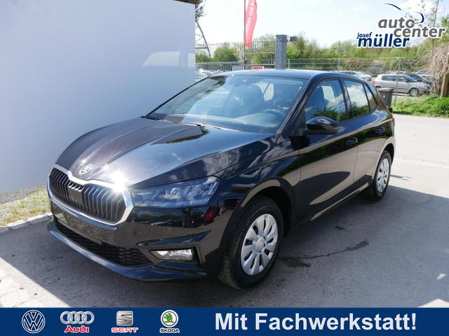 Skoda Fabia - Selection 1.0 TSI DSG*NAVI-&Uuml;BER-SMARTLINK*LED*PDC-HI*SHZ*DAB*KLIMA