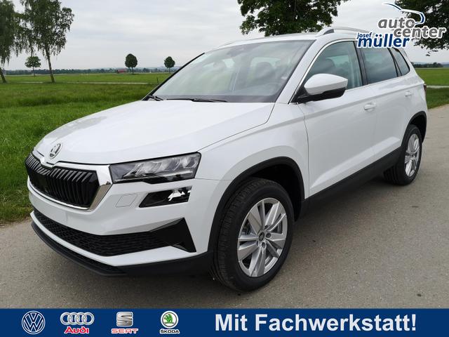 Skoda Karoq - Selection 2.0 TDI DSG 4x4 GV5 AHK 17