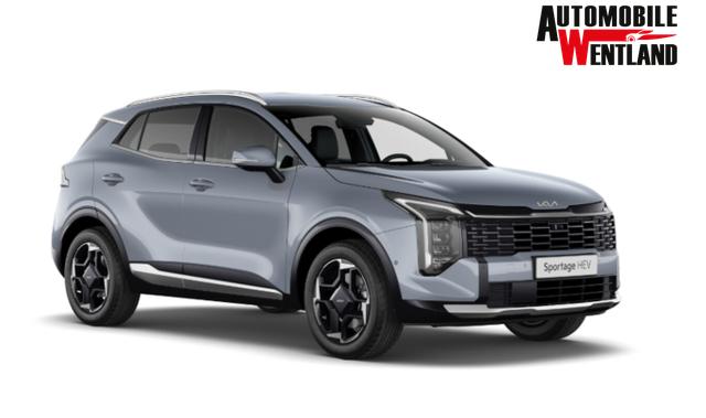 Kia Sportage GT-line AT LED+ 4xSHZ DigC ACC 360&deg; Kam 