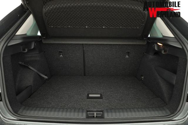 Skoda Kamiq Selection 1.0 TSI DSG 130 Jahre, LED, Side, ACC, Kamera, el. Klappe, Winter, 17-Zoll 