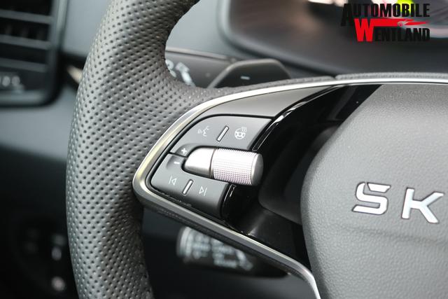 Skoda Karoq Sportline Graphite Grau 