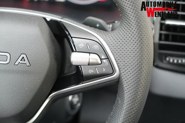 Skoda Karoq Sportline Graphite Grau 