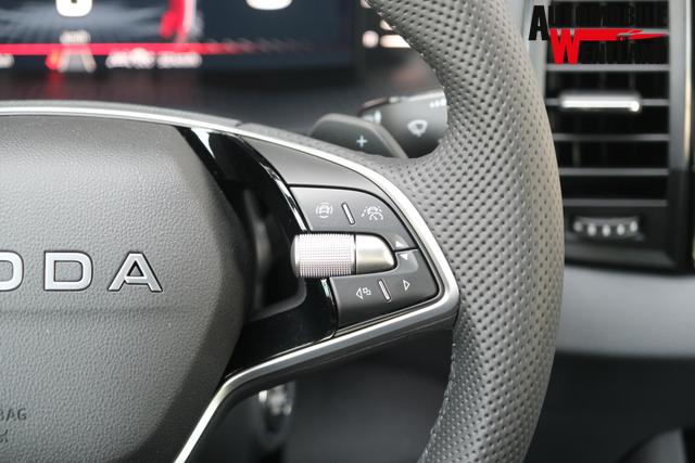 Skoda Karoq 1.5 TSI DSG Sportline AHK Matrix Assistenzpaket Plus Kamera 