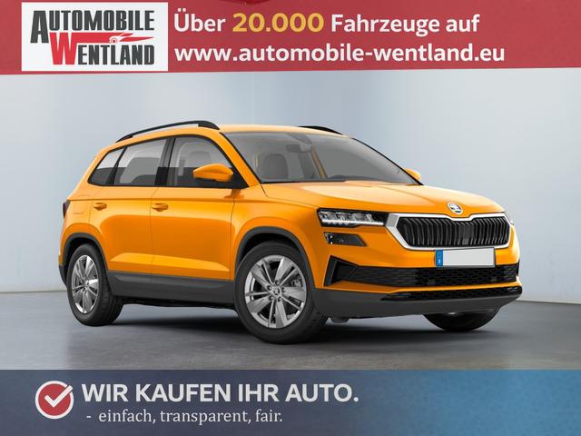 Skoda Karoq - Extra