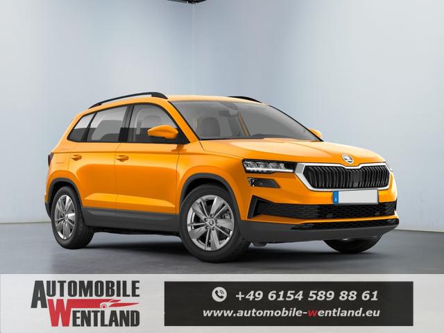 Skoda Karoq - Extra