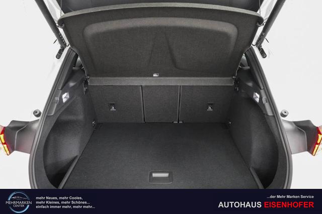 Cupra Terramar 2,0 TSI DSG 4Drive VZ - LAGER 