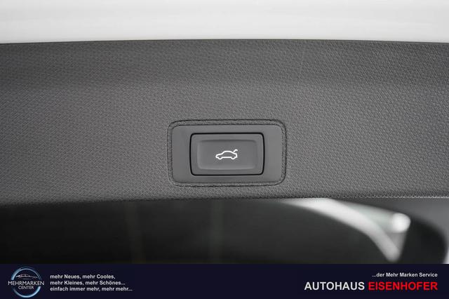 Cupra Terramar 2,0 TSI DSG 4Drive VZ - LAGER 