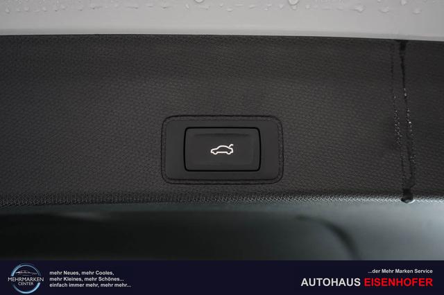 Cupra Terramar 2,0 TSI DSG 4x4 VZ - LAGER 