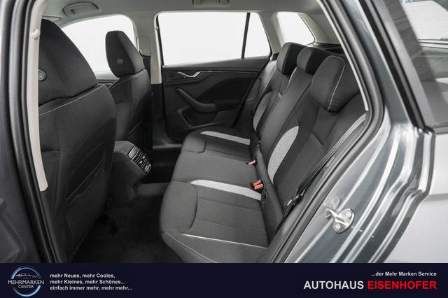 Skoda Kamiq 1,0 TSI DSG Selection - LAGER 