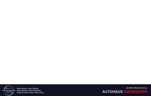 Ford Grand Tourneo Titanium 1,5 L2 7 Sitzer Klimaautomatik Anh&auml;ngerkupplung Sitzheizung Einparkhilfe Kamera 17 Zoll Leichtmetall ACC 