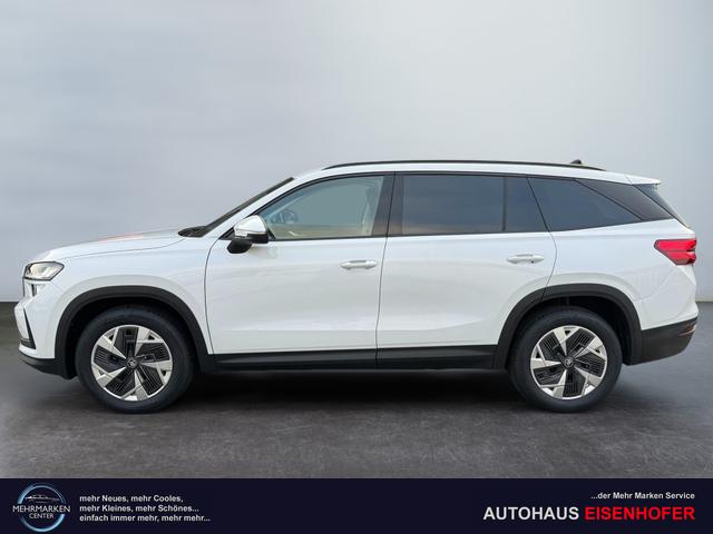 Skoda Kodiaq 2.0 TSI 4x4 kaufen