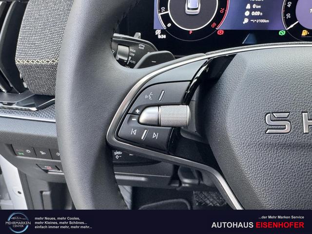 Skoda Kodiaq 2.0 TSI 4x4 kaufen