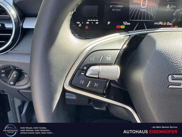 Reimport Skoda Fabia Drive DSG kaufen