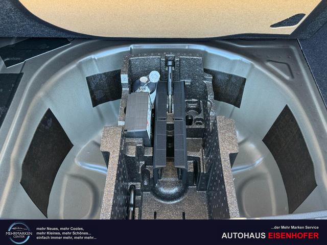 Reimport Skoda Scala DSG kaufen