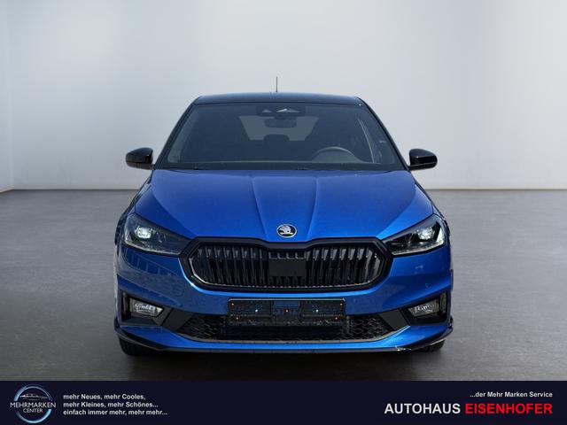 eu auto skoda fabia 130 g&uuml;nstig kaufen