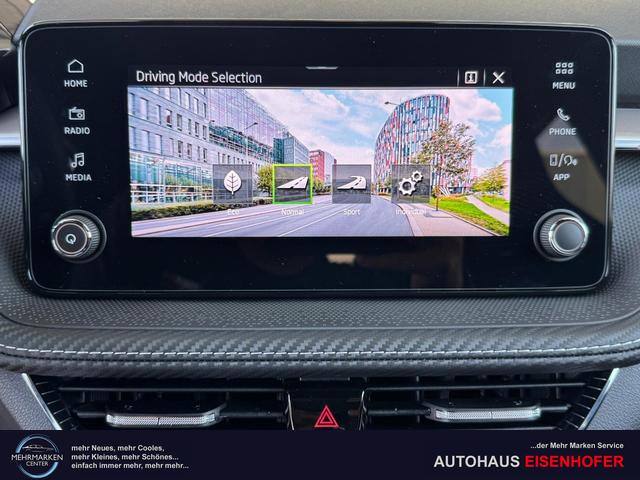 eu auto skoda fabia 130 g&uuml;nstig kaufen