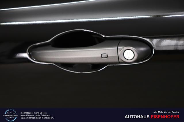 500X MY23 SPORT HYBRID 1.5 GSE 96 kW (130 PS) 601 - Cinema Schwarz 328 - Stoff "Arrow Electro" Schwarz 5CK Cinema Schwarz