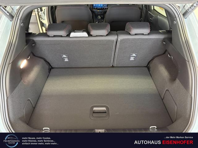 Ford Puma ST-Line Cactus Grau