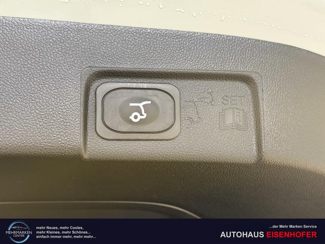 Ford Puma ST-Line Cactus Grau