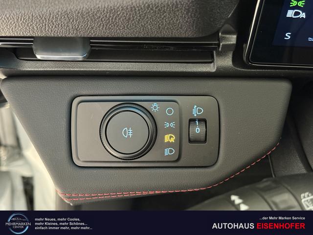 Ford Puma ST-Line Cactus Grau