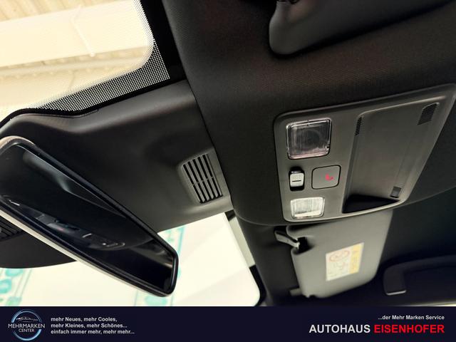 Ford Puma ST-Line Cactus Grau