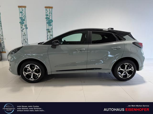 Ford Puma ST-Line Cactus Grau Dach Schwarz