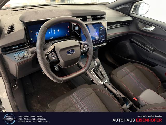 Ford Puma ST-Line Cactus Grau Dach Schwarz