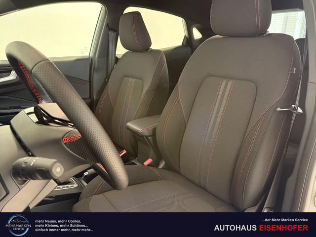 Ford Puma ST-Line Cactus Grau Dach Schwarz