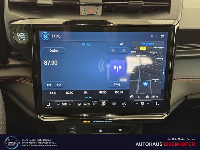 Ford Puma ST-Line Cactus Grau Dach Schwarz