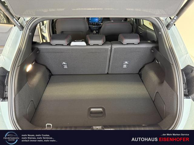 Ford Puma ST-Line Cactus Grau Dach Schwarz