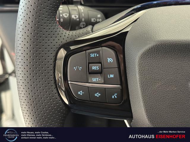 Ford Puma ST-Line Cactus Grau Dach Schwarz