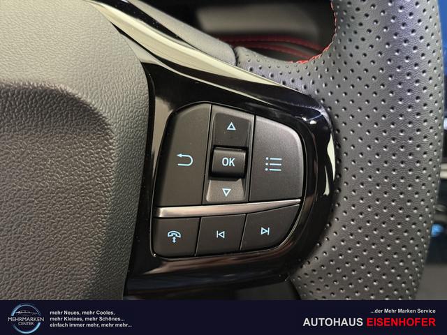 Ford Puma ST-Line Cactus Grau Dach Schwarz