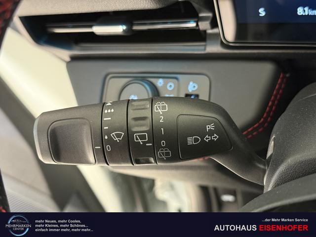 Ford Puma ST-Line Cactus Grau Dach Schwarz