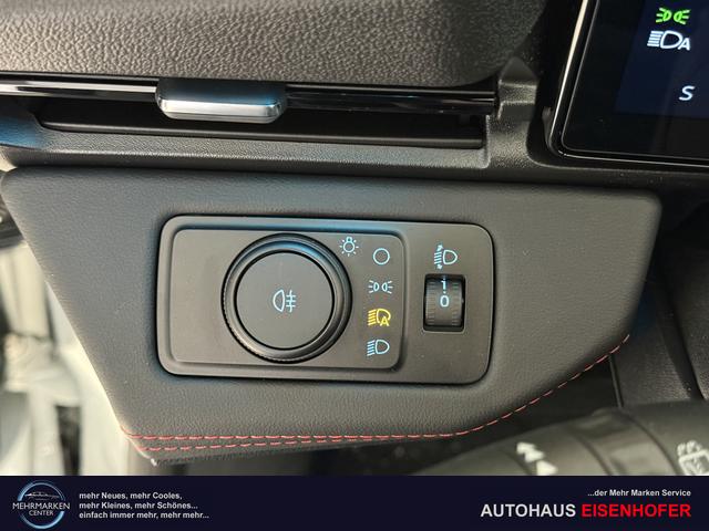 Ford Puma ST-Line Cactus Grau Dach Schwarz