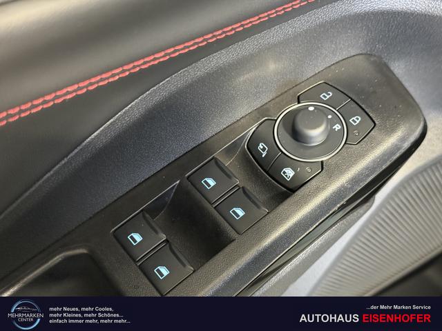 Ford Puma ST-Line Cactus Grau Dach Schwarz