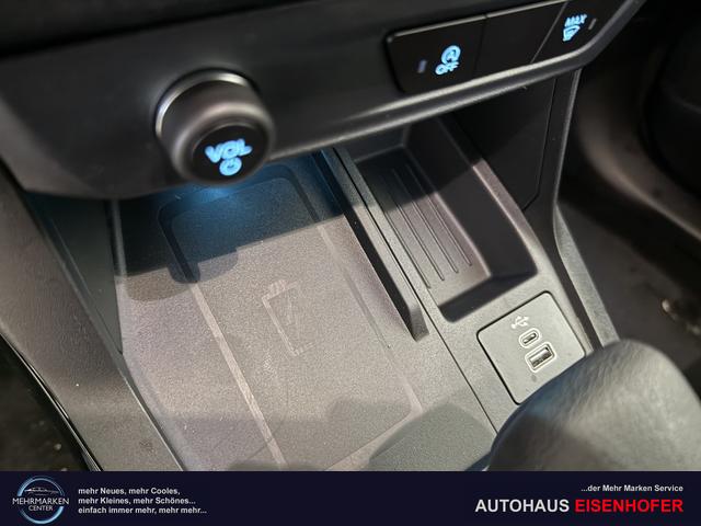 Ford Puma ST-Line Cactus Grau Dach Schwarz