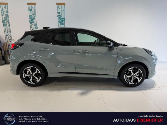Ford Puma ST-Line Cactus Grau Dach Schwarz