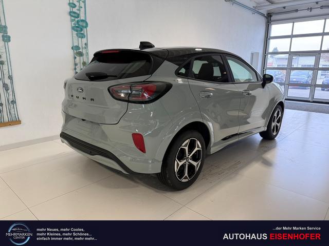 Ford Puma ST-Line Cactus Grau Dach Schwarz