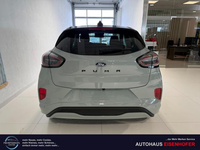 Ford Puma ST-Line Cactus Grau Dach Schwarz