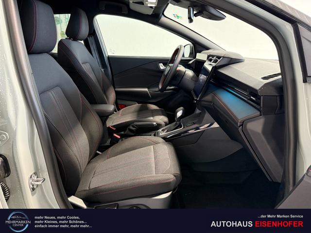 Ford Puma ST-Line Cactus Grau Dach Schwarz