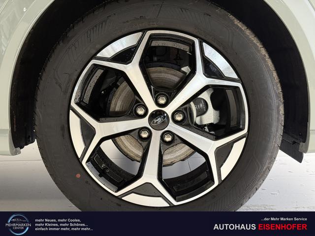 Ford Puma ST-Line Cactus Grau Dach Schwarz